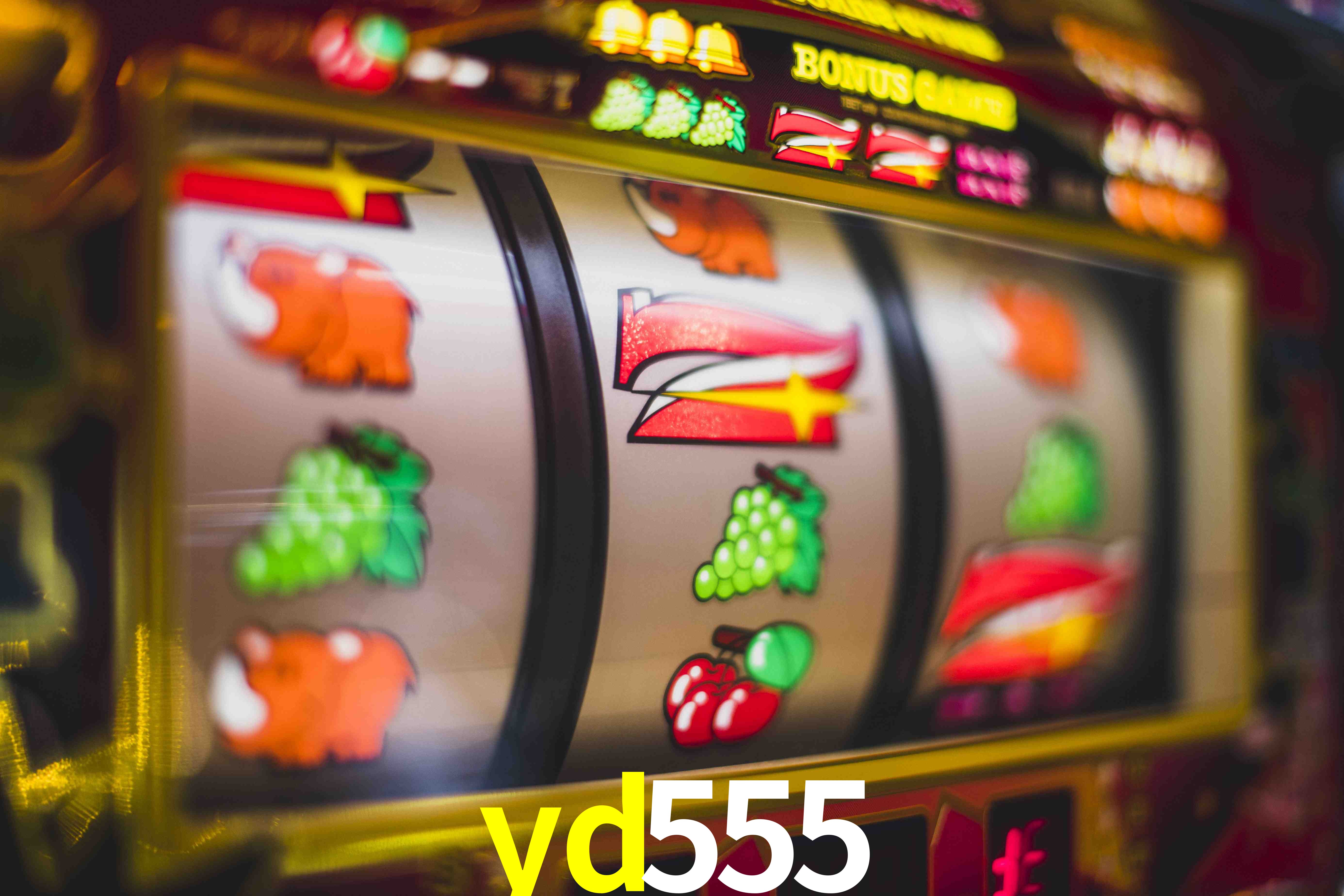 Football Betting yd555